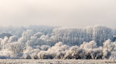 Winter Landscape Panorama, Germany