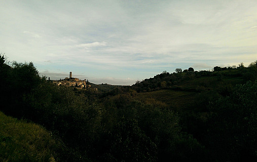 Image 11