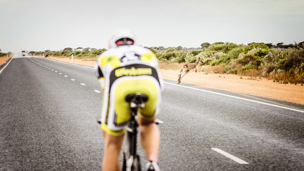 limeART_HAUSDORFER_RAUS17_DAY3_024