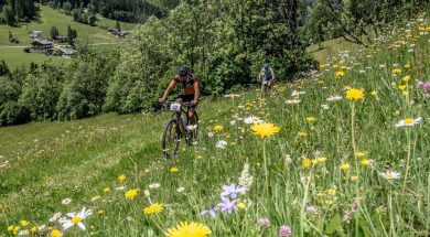 AT_2019_REITERALM (c) Regina Stanger_online