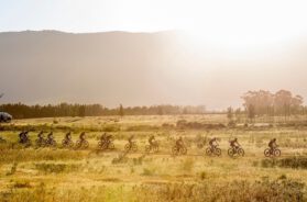 2021 Cape Epic / © Sam Clark