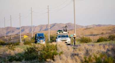 ©www.alexzauner.com-250611-045052