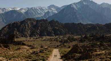 Archivnummer: NEWS12039