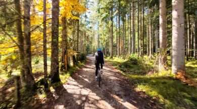 exported_E99C75B8-49FD-4487-85BB-06F6082AFBE1-EDIT